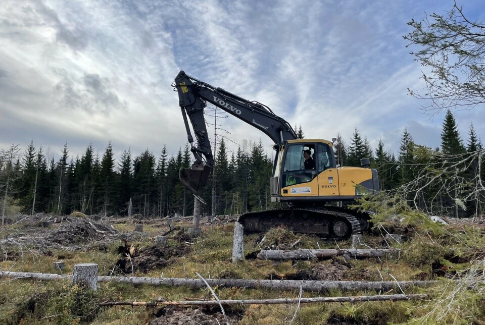 Å lage striper med omvendt torv med skålharv, og flekker med gravemaskin, er de to vanligste metodene for markberedning. Målet med markberedningsprosjektet er å undersøke hvilke effekter de to metodene har, og sammenligne det med urørt mark. gravemaskin i skogen