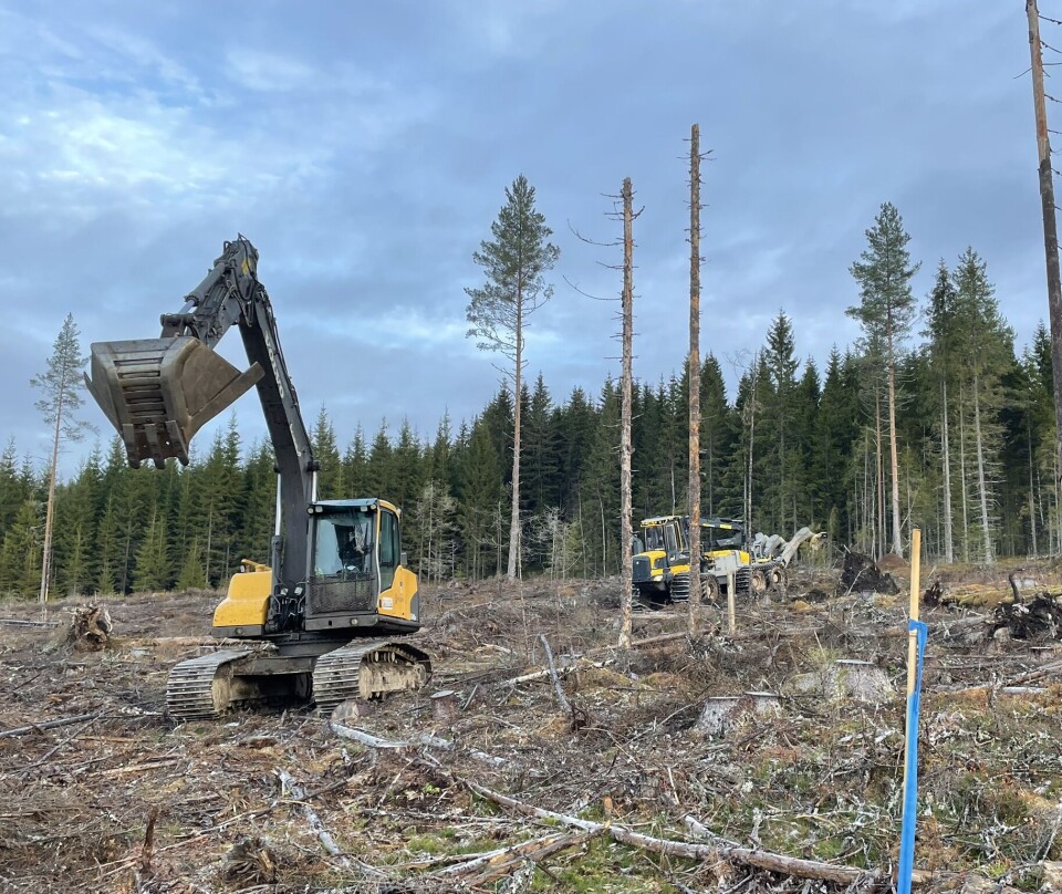 En gravemaskin og en skålharv arbeider seg sakte fram blant stein og stubber, mens de vender om på torv og jord. Målet er å undersøke hvordan markberedningen påvirker mengden karbon i jorda og i hele økosystemet. En gravemaskin og en skålharv i skogen