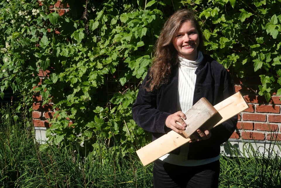 Kristina Bringedal Gedde er stipendiat ved Nibio og NTNU. Kristina Bringedal Gedde