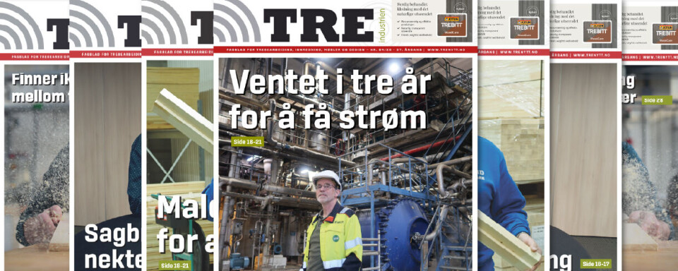 Få tilgang til hele arkivet treindustrien 4/2025 forside