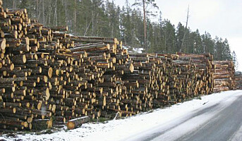 Tømmeravvirkningen øker fortsatt i 2015