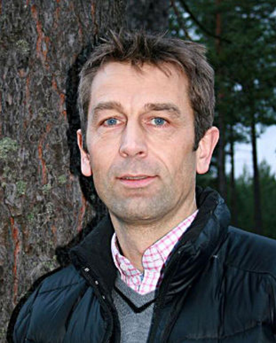 Daglig leder ansatt i Treklyngen