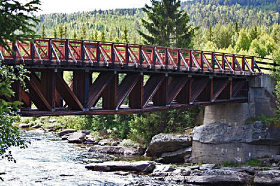 Hedmark utbedrer skogsbilveier