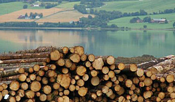 Tømmerforordningen trer i kraft for Norge 1. mai