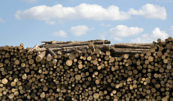 Økte tømmervolumet med 23 %