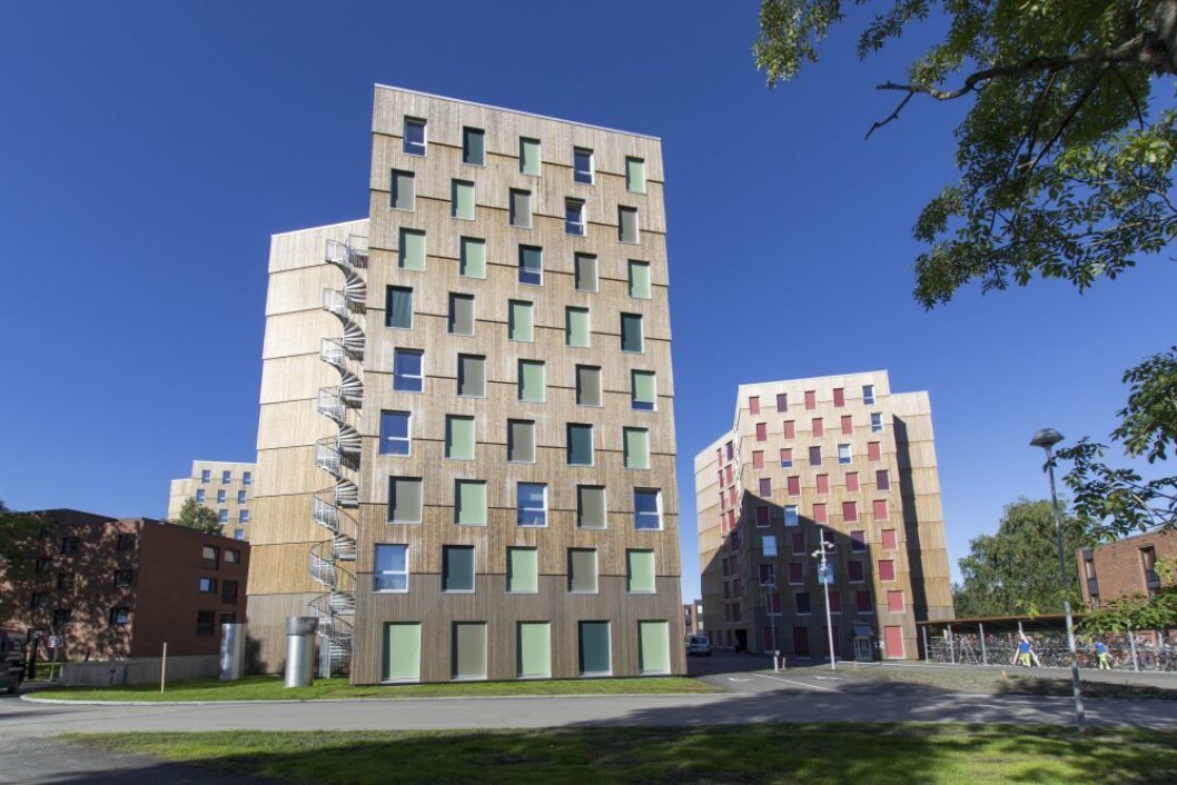 Med sine 9 etasjer er Moholt 50|50 i Trondheim de (enn så lenge) høyeste studentboligene bygget i massivtre i Norge. (Foto: MDH Arkitekter) Med sine 9 etasjer er Moholt 50|50 i Trondheim de (enn så lenge) høyeste studentboligene bygget i massivtre i Norge. (Foto: MDH Arkitekter)