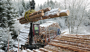 Skogeierne har stiftet Norsk Skogkapital