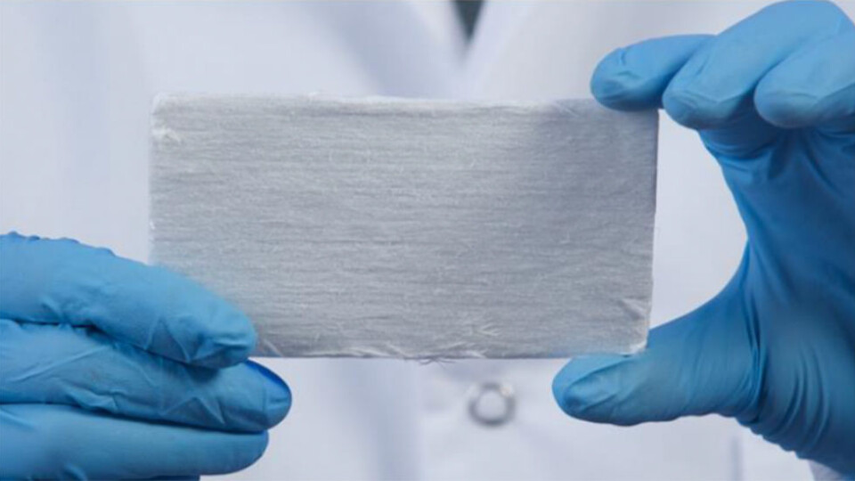 NANOTRE: Nanotre som isolasjon kan være fremtiden. Foto: University of Maryland