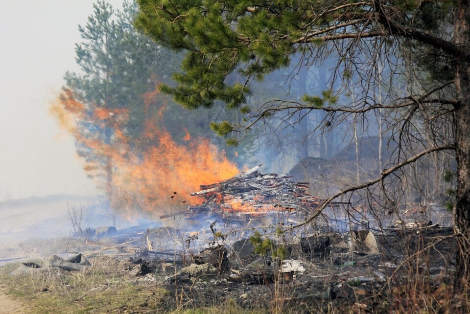 SKOGBRANNFARE: Det er stor skogbrannfare i Sør-Norge. Illustrasjonsfoto: Yayimages.com