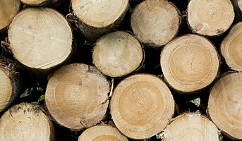 Tømmerprisene fortsetter å øke