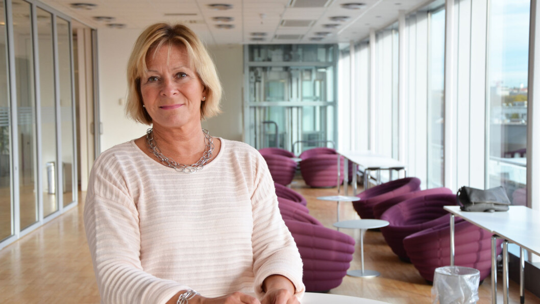 Aslaug Koksvik, direktør for Virke byggevare. (Foto: Virke) Aslaug Koksvik, direktør for Virke byggevare. (Foto: Virke)