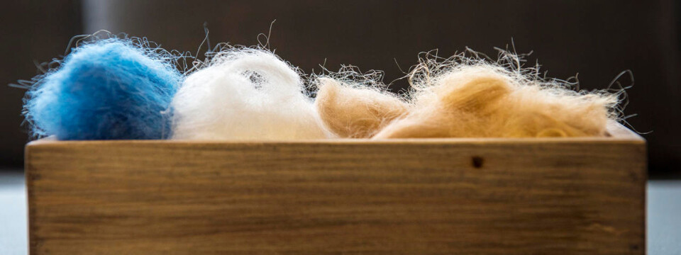 Vil utvikle tekstilfiber av tre