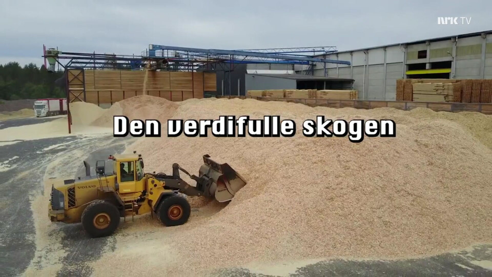 (Skjermbilde: tv.nrk.no)