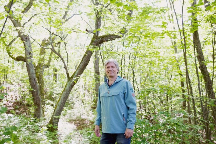Ola Elvestuen er fornøyd med at avansert biodrivstoff øker, siden det er laget på råvarer som ikke kunne vært brukt til mat. (Foto: Mona Lindseth, Venstre) Ola Elvestuen er fornøyd med at avansert biodrivstoff øker, siden det er laget på råvarer som ikke kunne vært brukt til mat. (Foto: Mona Lindseth, Venstre)