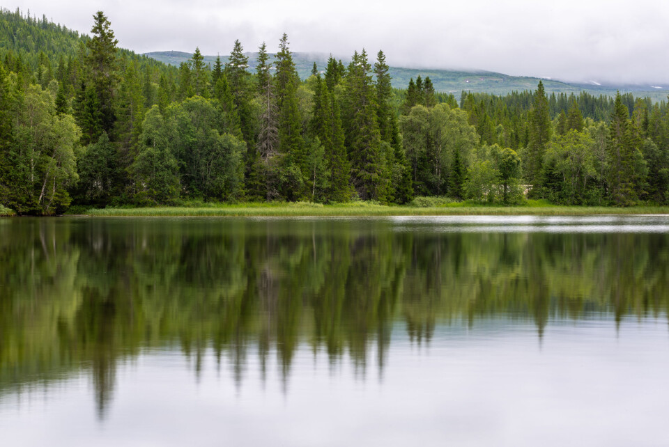 Illustrasjonsfoto: colourbox.com