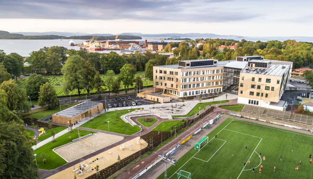 De organiske stiene fra den historiske delen av parken videreføres fram til skolen og videre gjennom byggets atrium. De organiske stiene fra den historiske delen av parken videreføres fram til skolen og videre gjennom byggets atrium.