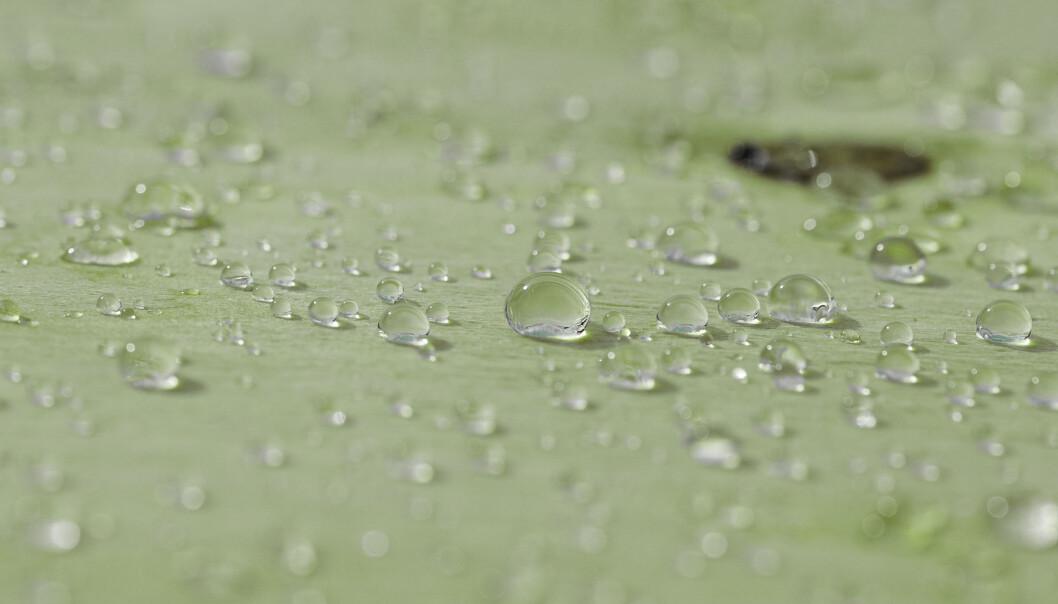 WeatherPly™ er behandlet med et silikat på alle sider, som gjør at platen er værbestandig og reduserer vanninntregning. WeatherPly™ er behandlet med et silikat på alle sider, som gjør at platen er værbestandig og reduserer vanninntregning.