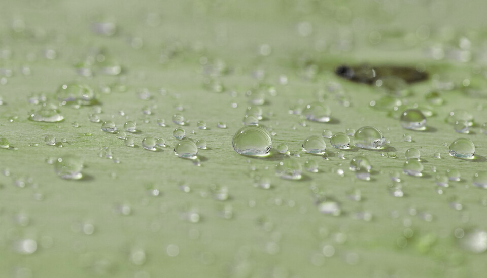 WeatherPly™ er behandlet med et silikat på alle sider, som gjør at platen er værbestandig og reduserer vanninntregning.