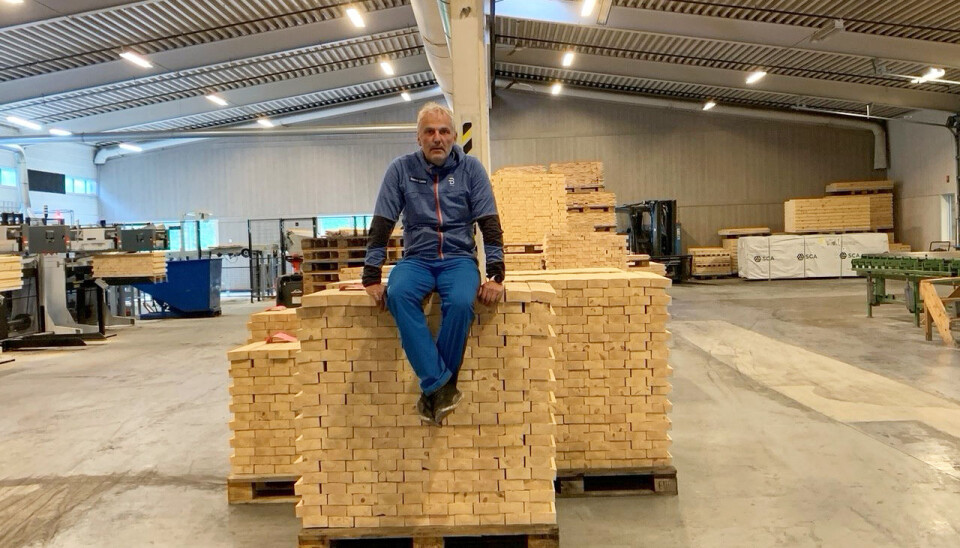 Norsk Limtre har ridd på bølgen av det grønne skiftet, forteller Ragnar Berg.