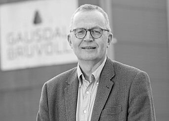 Jørn Nørstelien er ny styreleder i Treindustrien. Jørn Nørstelien er ny styreleder i Treindustrien.