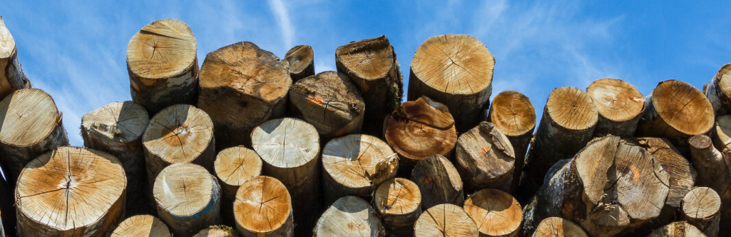 Rekordhøy avvirkning av tømmer
