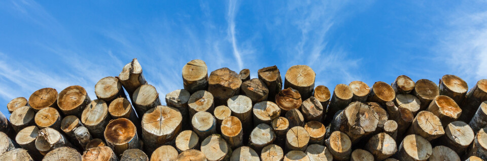 tømmerstokker tømmerlunne skogdrift