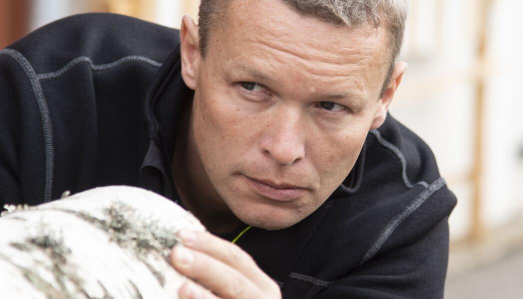 Erik Larnøy forsker på trebeskyttelse. Erik Larnøy forsker på trebeskyttelse.