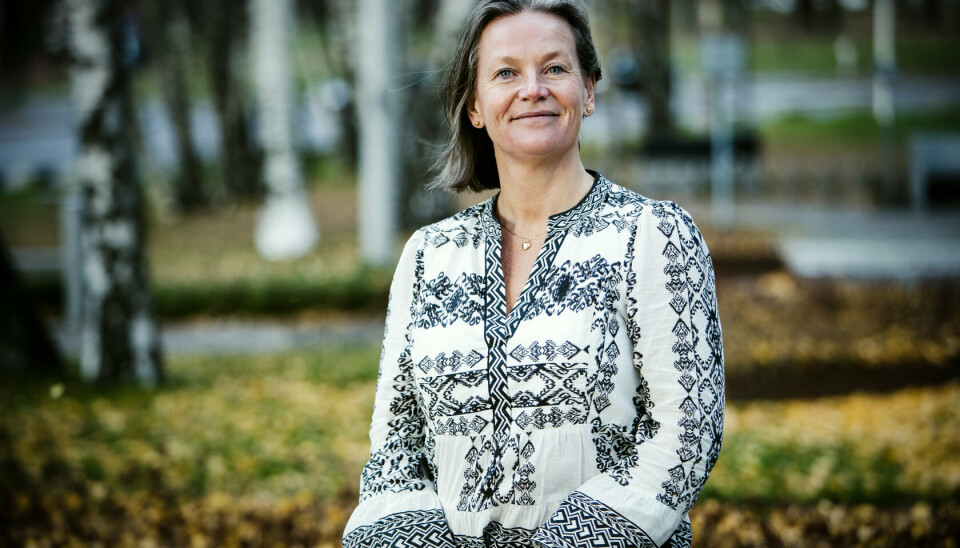 Hilde Widerøe Wibe, administrerende direktør i Norske Trevarer. Hilde Widerøe Wibe, administrerende direktør i Norske Trevarer.