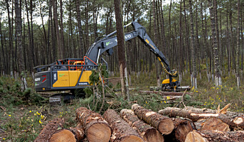 Ny norsk PEFC skogstandard nasjonalt godkjent
