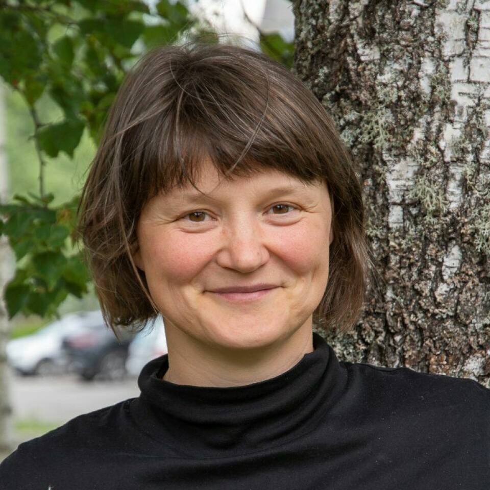 Katrin Zimmer